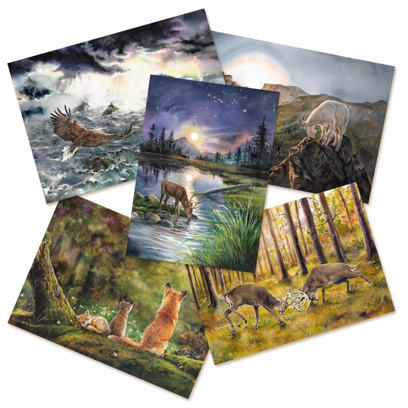 wildlife thumbnail